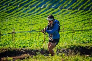 BIB: 
                            <button type="button" onclick="openModal(19160260)" class="btn btn-primary btn-sm float-right btn-popup" data-toggle="modal" data-target=".modal-high-quality">
                        <i class="fas fa-shopping-cart"></i> Add to Cart
                    </button>
                                            <button type="button" onclick="isThisMe(19160260, true)" class="btn btn-success btn-sm float-right btn-popup btn-isme hidden" data-toggle="tooltip" data-placement="bottom" title="นี่คือรูปของคุณใช่ไหม คลิกที่นี่เพื่อเอาเข้าอัลบั้ม">
                        <i class="fas fa-plus"></i> Add to album
                    </button>
                    <button type="button" onclick="isThisMe(19160260, false)" class="btn btn-warning btn-sm float-right btn-popup btn-isnotme hidden">
                        <i class="fas fa-ban"></i> Remove from album
                    </button>